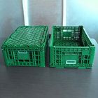 جعبه نگهداری پلاستیک سبز 600x400x220cm برای سبزیجات میوه