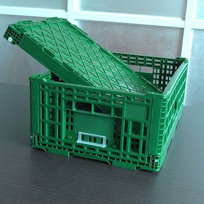 کیفیت جعبه سبزیجات تاشو پلاستیکی بزرگ 40 لیتری سبز کارخانه